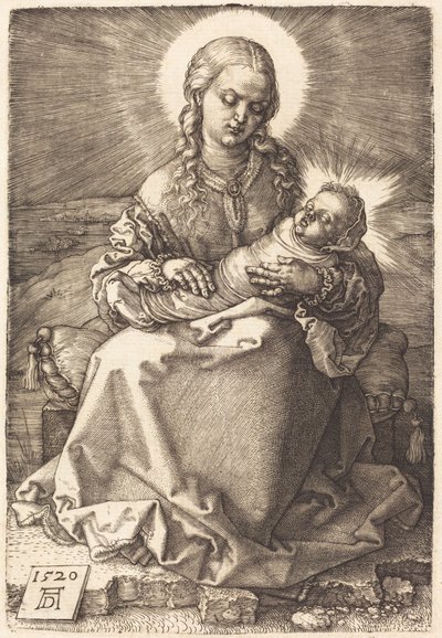  door Albrecht Dürer