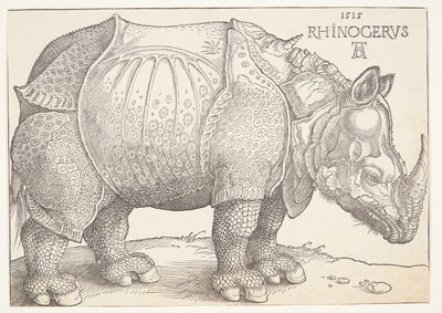 De neushoorn door Albrecht Dürer