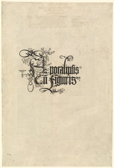 Titelpagina door Albrecht Dürer