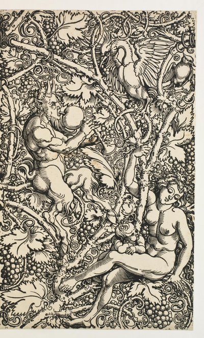 Twee ontwerpen voor wandtapijten met satyrfamilie door Albrecht Dürer