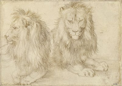 Twee zittende leeuwen, 1521 door Albrecht Dürer