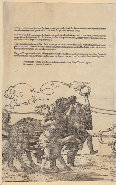  door Albrecht Dürer