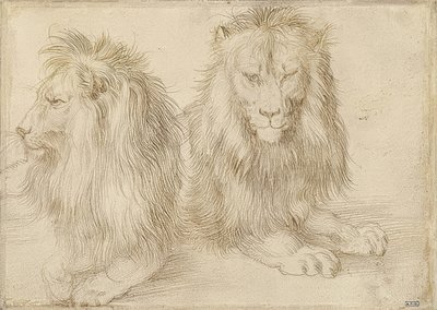 Twee liggende leeuwen. 1521 door Albrecht Dürer