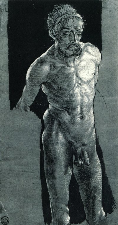 zelfportret in naakt door Albrecht Dürer