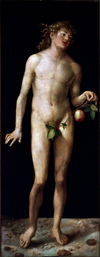  door Albrecht Dürer or Duerer