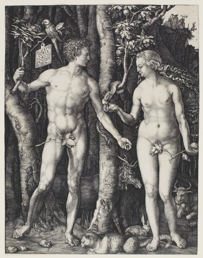 Adam en Eva door Albrecht Dürer
