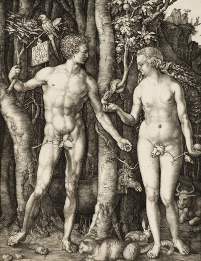 Adam en Eva door Albrecht Dürer