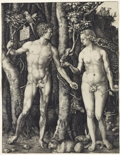 Adam en Eva door Albrecht Dürer
