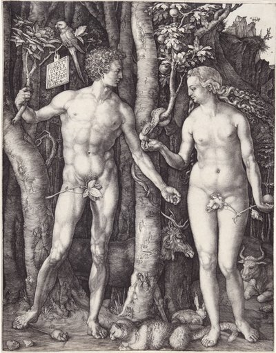 Adam en Eva door Albrecht Dürer