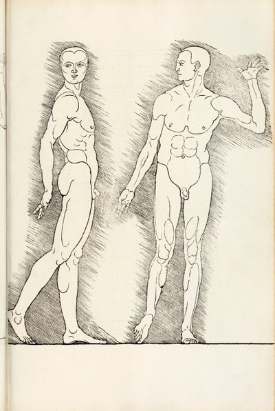 Anatomische houtsnede uit Hierinn sind begriffen vier bücher von menschlicher Proportion, 1528 door Albrecht Dürer