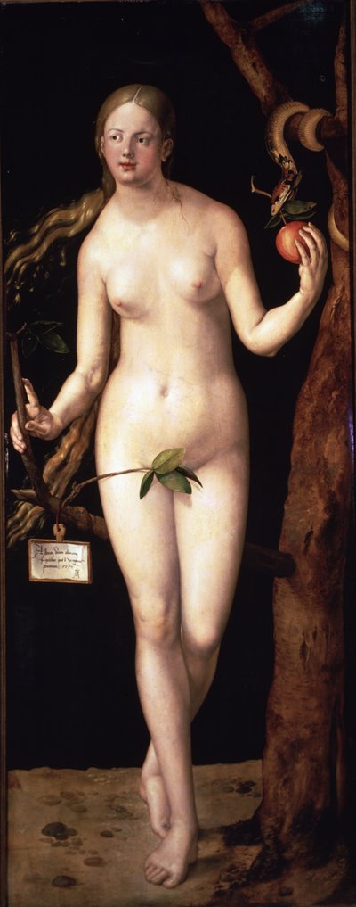  door Albrecht Dürer or Duerer
