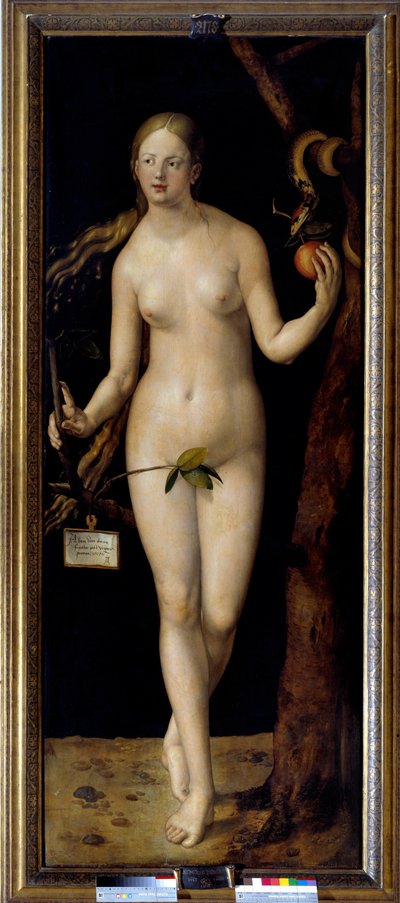 Eva (detail) door Albrecht Dürer