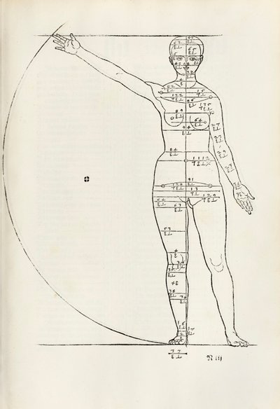 Vrouwelijke anatomische houtsnede uit 