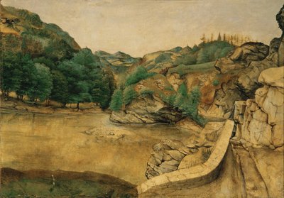 Pad in de Alpen door Albrecht Dürer or Duerer