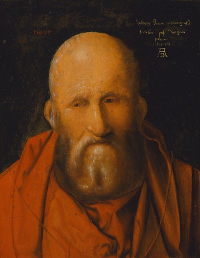 Sint Hiëronymus door Albrecht Dürer