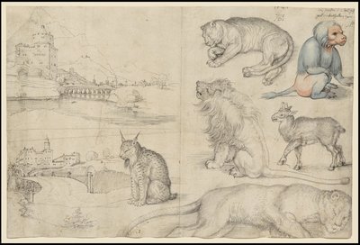 Schetsen van dieren en landschappen door Albrecht Dürer