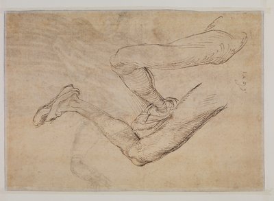 Studie van een linkerbeen vanuit twee gezichtspunten door Albrecht Dürer