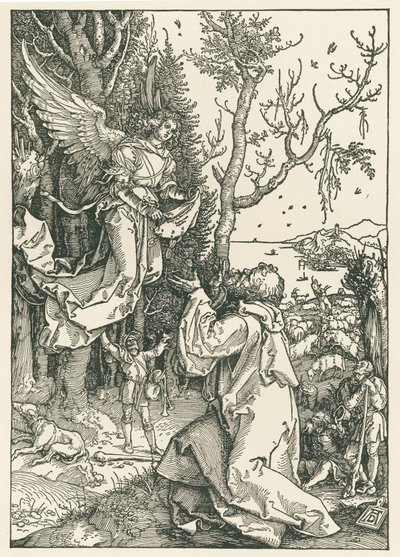 De engel die Joachim de boodschap brengt, c.1504 (houtsnede) door Albrecht Dürer or Duerer
