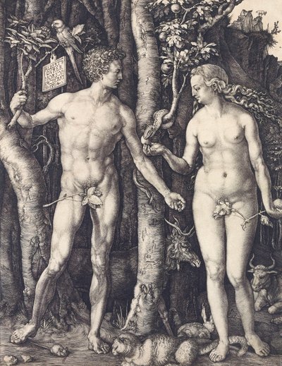 De val van de mens door Albrecht Dürer door Albrecht Dürer