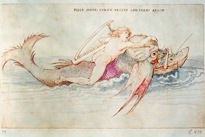 De Griekse dichter Arion rijdt op de dolfijn, c.1515 (aquarel op papier) door Albrecht Dürer or Duerer