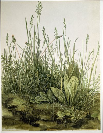 Het grote stuk gras door Albrecht Dürer or Duerer
