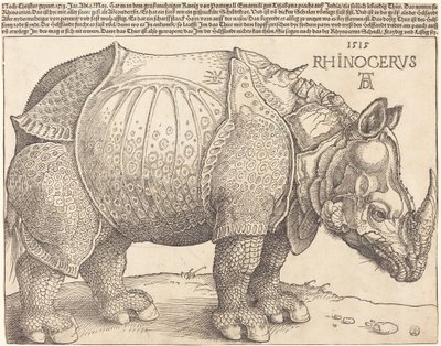 De neushoorn door Albrecht Dürer