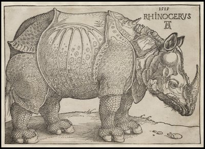 De Neushoorn, 1515 door Albrecht Dürer