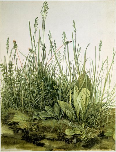 Het vuil met wilde kruiden door Albrecht Dürer