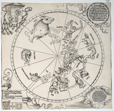 Onbekend beeld door Albrecht Dürer