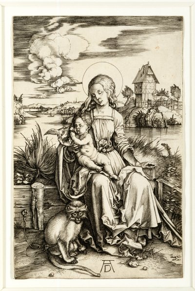 Maagd en Kind met Aap door Albrecht Dürer