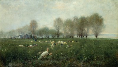 Kalkoenen op het platteland bij zonsondergang door Alceste Campriani