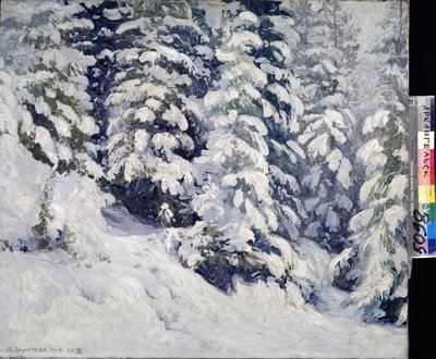 Bos in de winter door Aleksandr Alekseevich Borisov