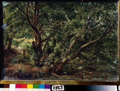 De bomen van de rivier door Aleksandr Andreevich Ivanov