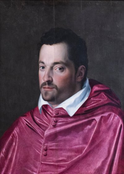 Portret van kardinaal Ferdinando Medici door Alessandro Allori