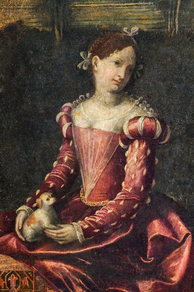 Portret van een edelvrouw (detail) door Alessandro Bonvicino Moretto
