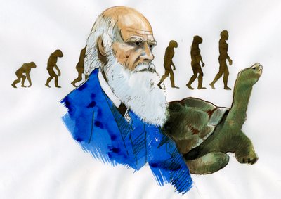 Portret van Charles Darwin - Portret van de Engelse natuuronderzoeker Charles Darwin (1809-1882) - Illustratie door Alessandro Lonati
