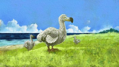 Afbeelding van de uitgestorven dodo (illustratie) door Alessandro Lonati