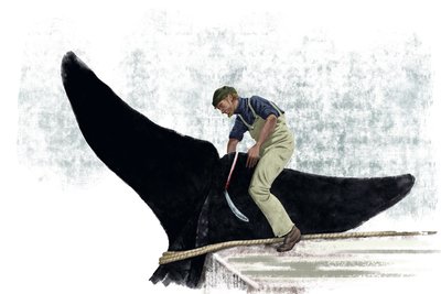 Walvisboot snijdt de staart van een walvis af door Alessandro Lonati
