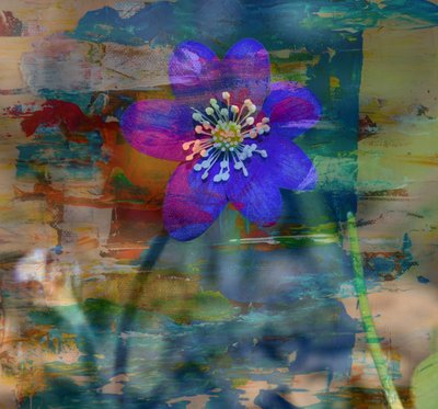 Blauwe Noot II, 2019 door Alex Caminker