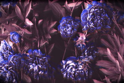 Blauwe notities door Alex Caminker