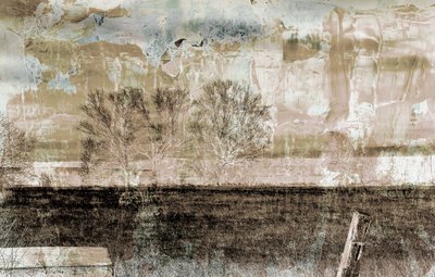 Bruine mist, 2019 door Alex Caminker