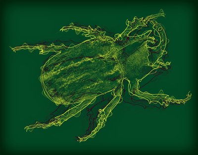 Insect door Alex Caminker