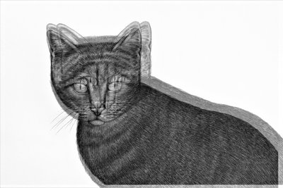 Elektrische kat door Alex Caminker