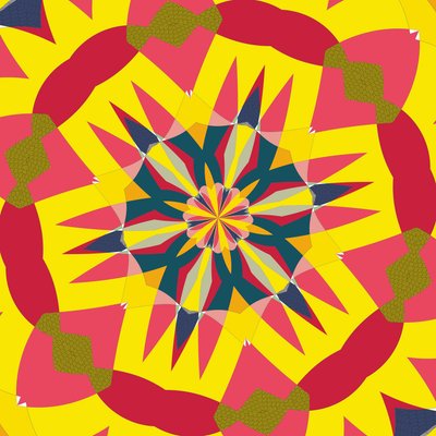 symmetrie #15 door Alex Caminker