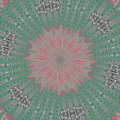 symmetrie #31 door Alex Caminker