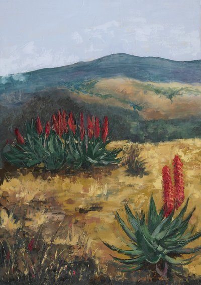 Red Aloes Desert Hills door Alex Cornell