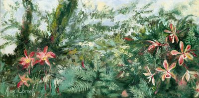 Levendige tropische orchideeën door Alex Cornell