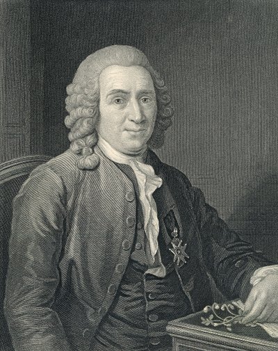 Portret van Carolus Linnaeus door Alexander (after) Roslin