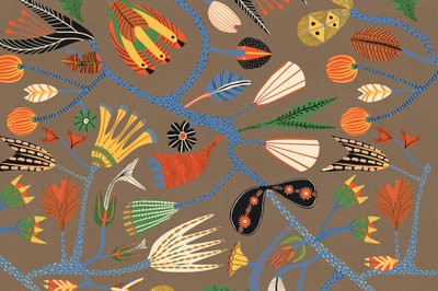 Kling door Alexander Adiels