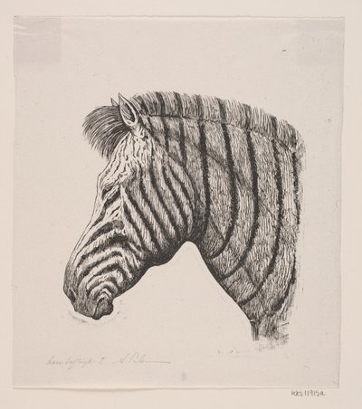 Hoofd van een zebra door Alexander Blom